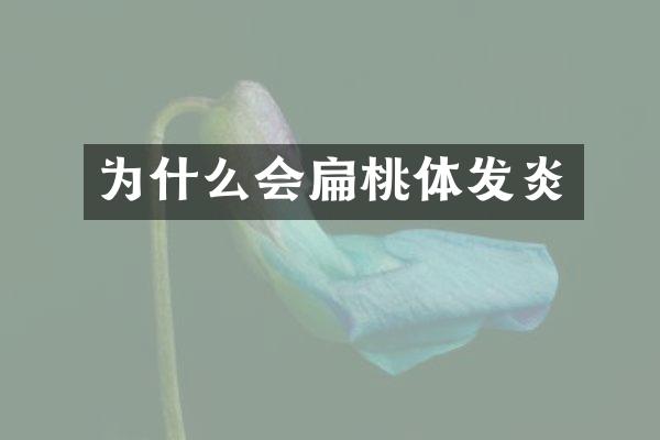为什么会扁桃体发炎