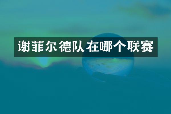 谢菲尔德队在哪个联赛