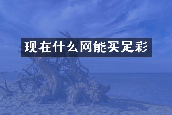现在什么网能买