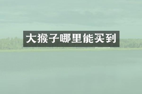 大猴子哪里能买到