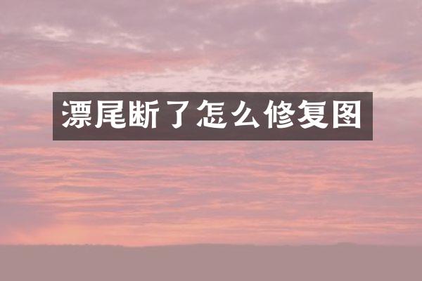 漂尾断了怎么修复图