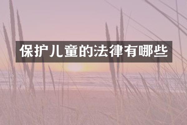 保护儿童的法律有哪些
