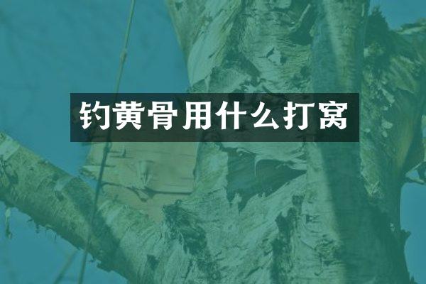 钓黄骨用什么打窝