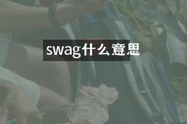 swag什么意思
