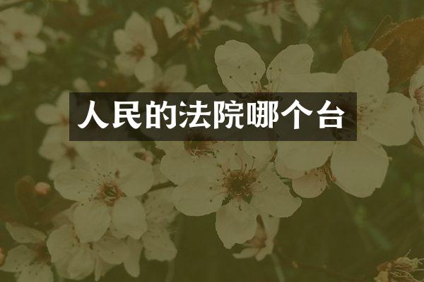 人民的法院哪个台