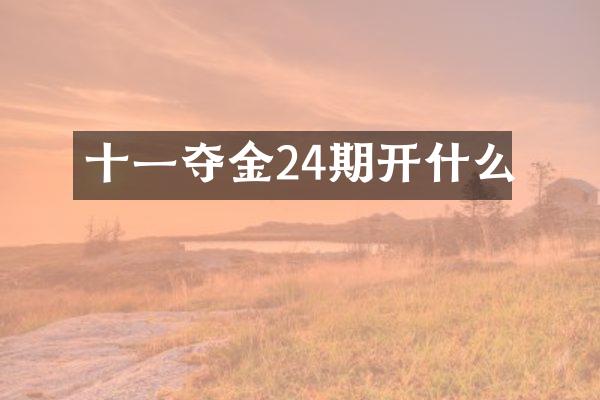 十一夺金24期开什么