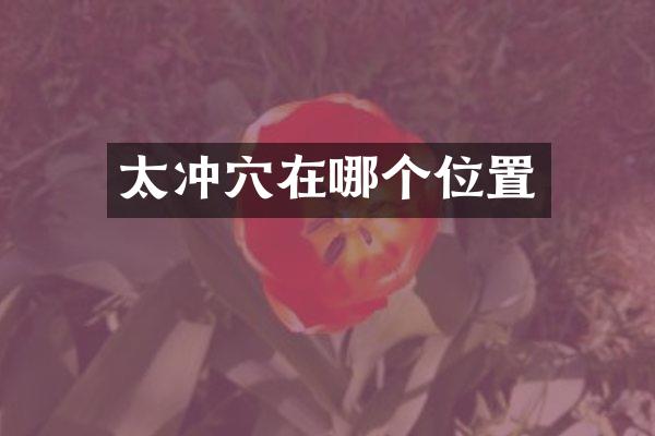 太冲穴在哪个位置