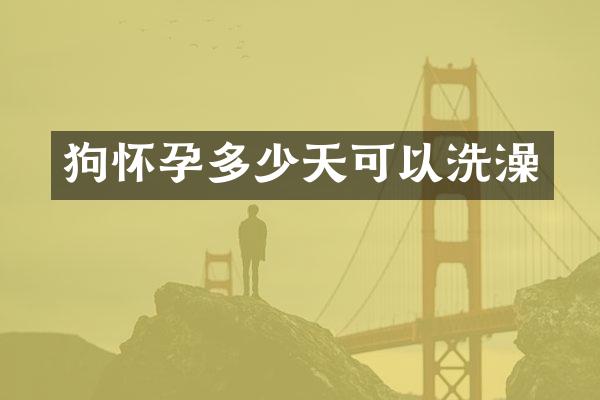 狗怀孕多少天可以洗澡
