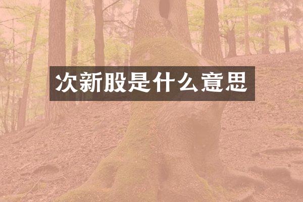 次新股是什么意思