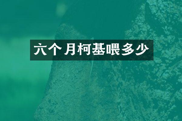 六个月柯基喂多少