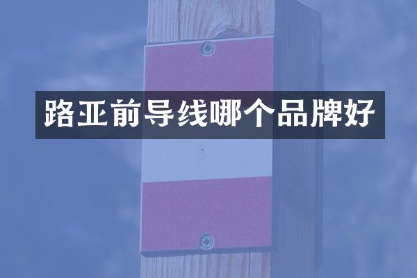 路亚前导线哪个品牌好