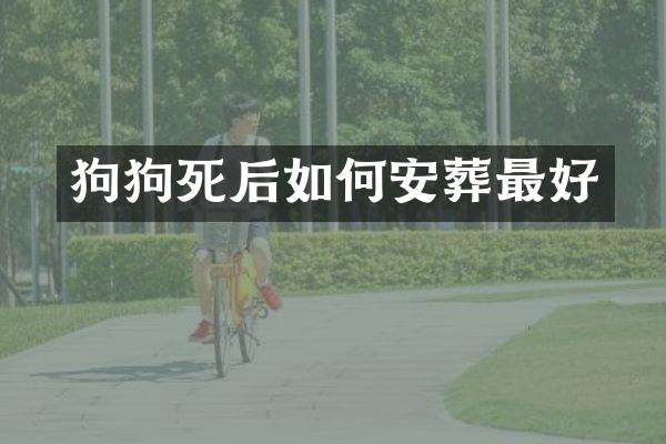 狗狗死后如何安葬最好