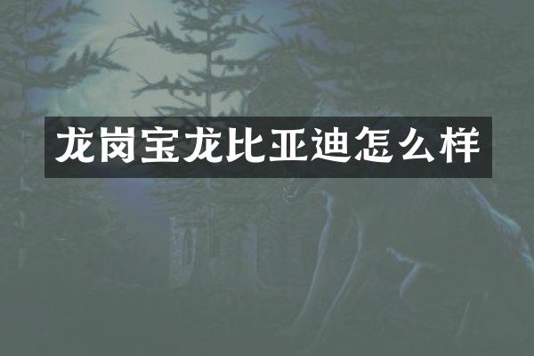龙岗宝龙比亚迪怎么样