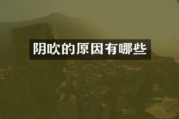 阴吹的原因有哪些