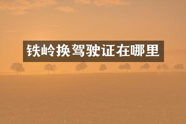 铁岭换在哪里