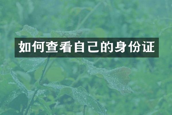 如何查看自己的