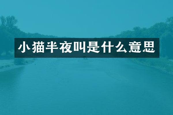 小猫半夜叫是什么意思