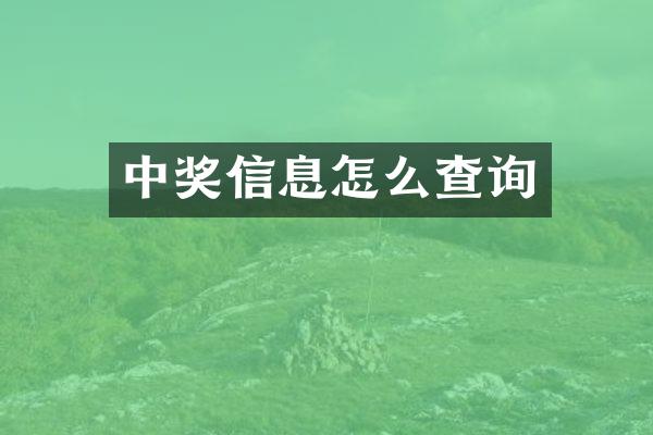 中奖信息怎么查询