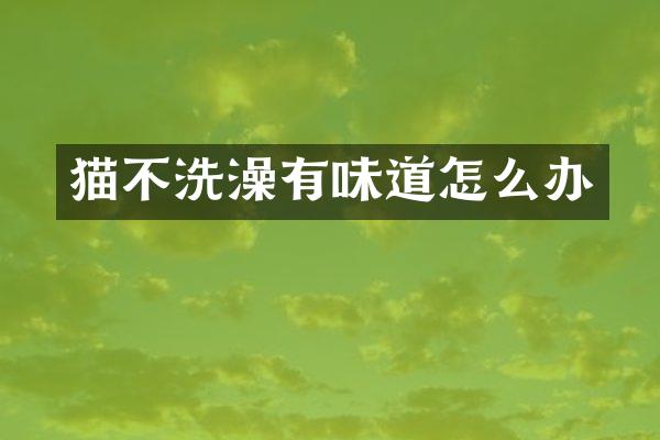 猫不洗澡有味道怎么办
