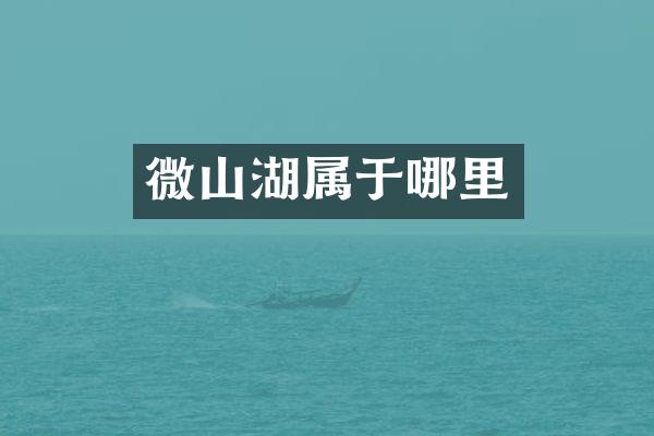 微山湖属于哪里