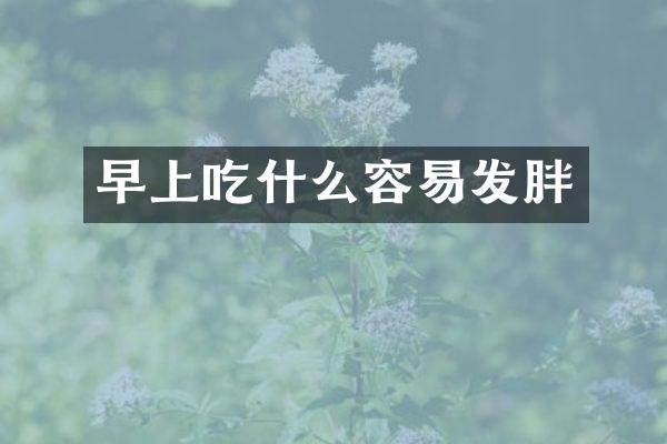 早上吃什么容易发胖