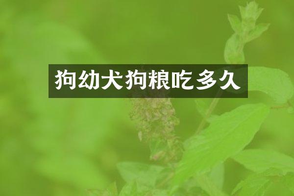 狗幼犬吃多久