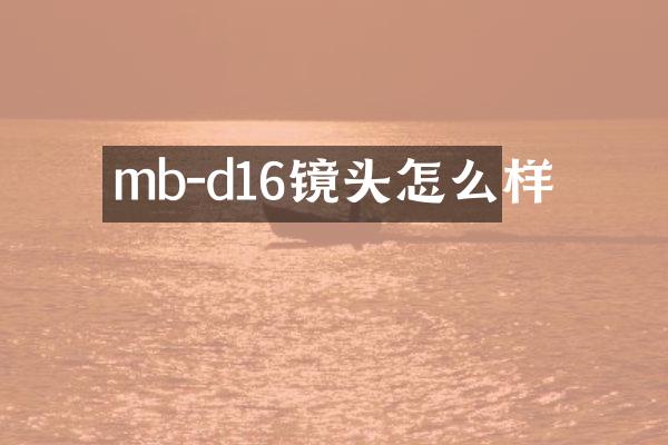 mb-d16镜头怎么样
