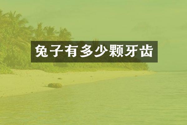 兔子有多少颗牙齿