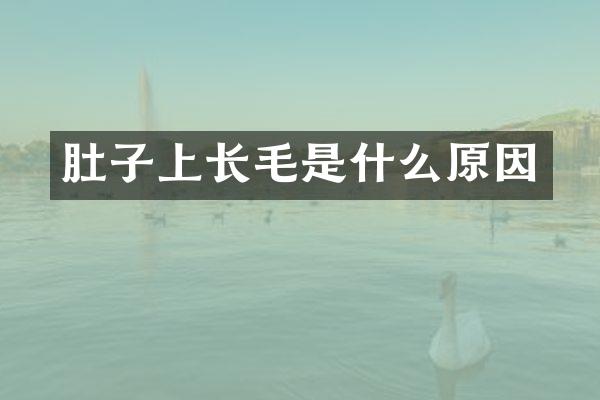 肚子上长毛是什么原因