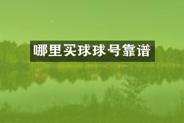 哪里买球球号靠谱