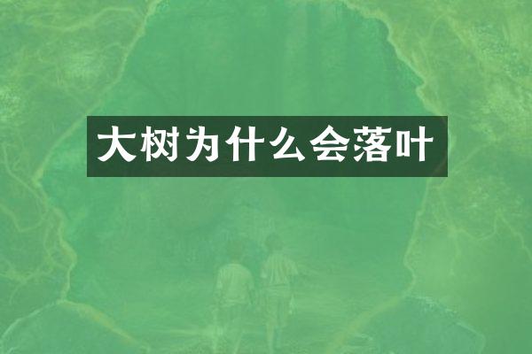 大树为什么会落叶