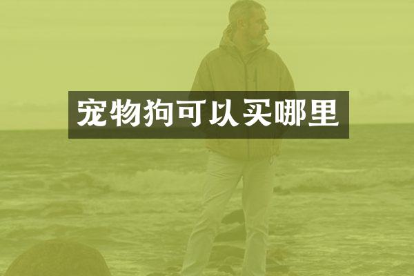 宠物狗可以买哪里