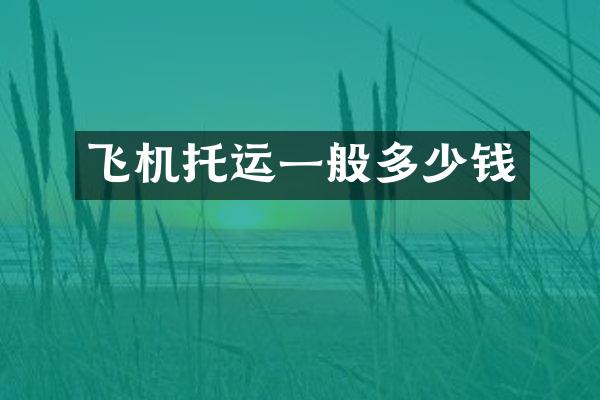 飞机托运一般多少钱