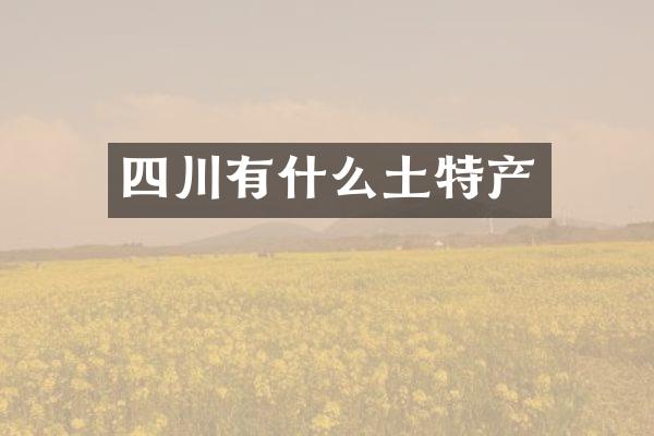 四川有什么土特产