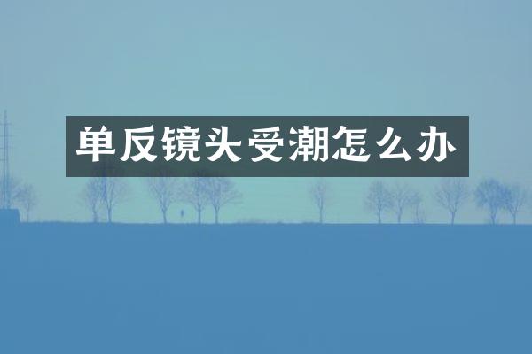 单反镜头受潮怎么办
