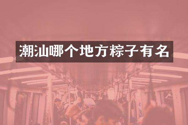 潮汕哪个地方粽子有名