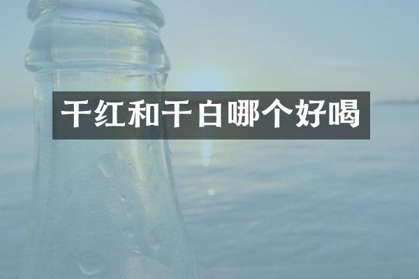 干红和干白哪个好喝