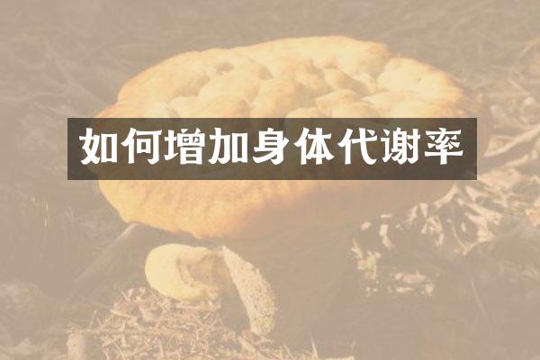 如何增加身体代谢率