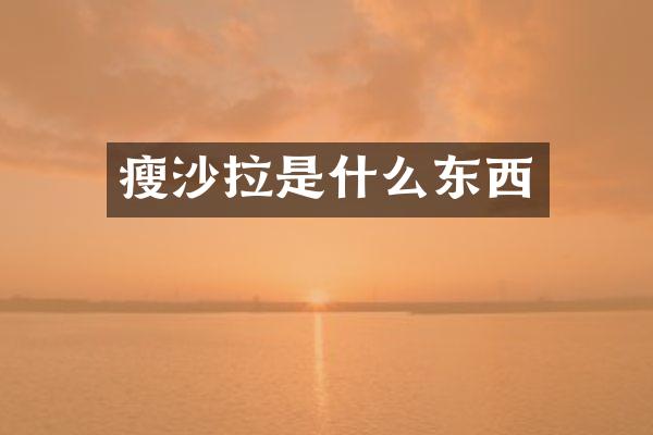 瘦沙拉是什么东西
