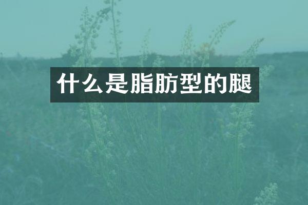 什么是脂肪型的腿