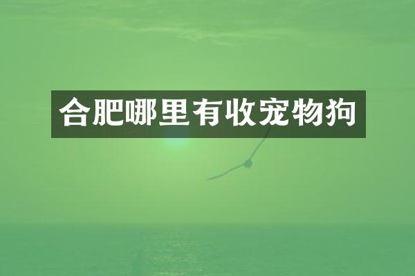合肥哪里有收宠物狗