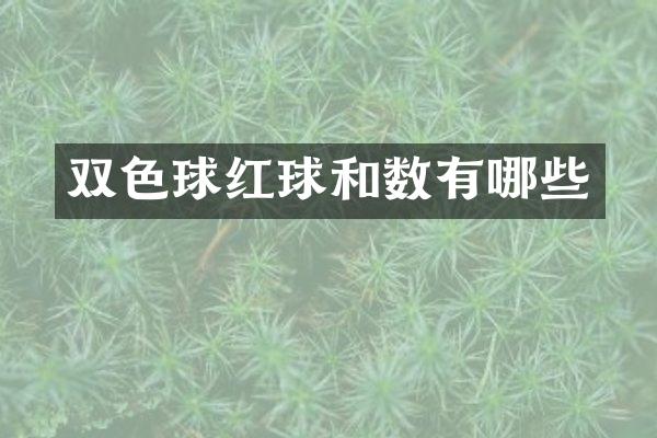 双色球红球和数有哪些