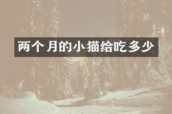两个月的小猫给吃多少