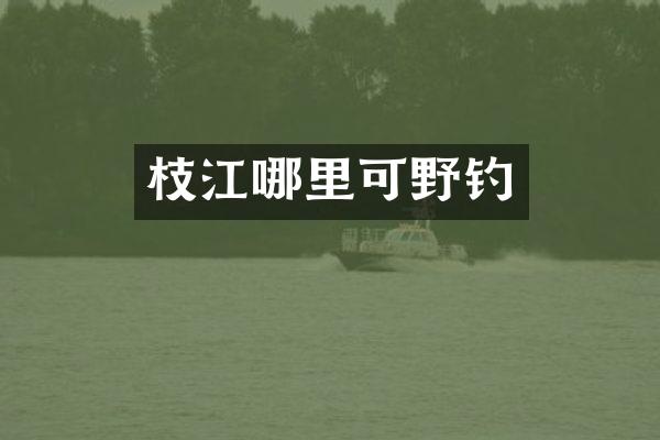 枝江哪里可野钓