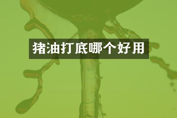 猪油打底哪个好用