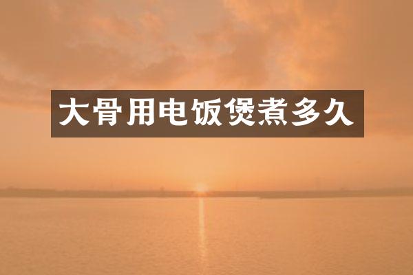 大骨用电饭煲煮多久