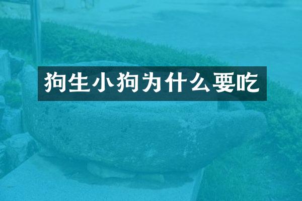 狗生小狗为什么要吃