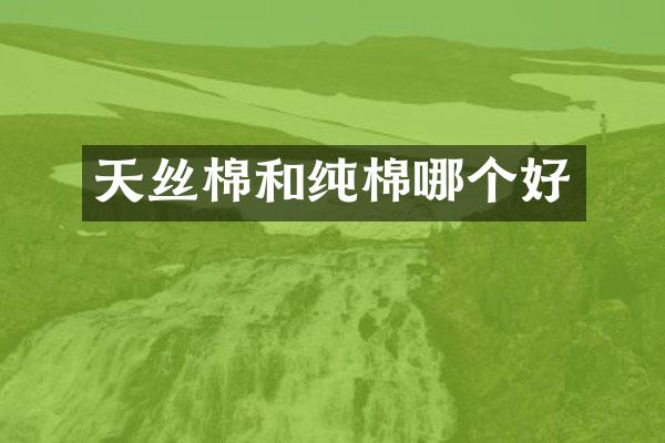 天丝棉和纯棉哪个好