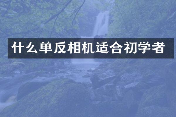 什么单反相机适合初学者