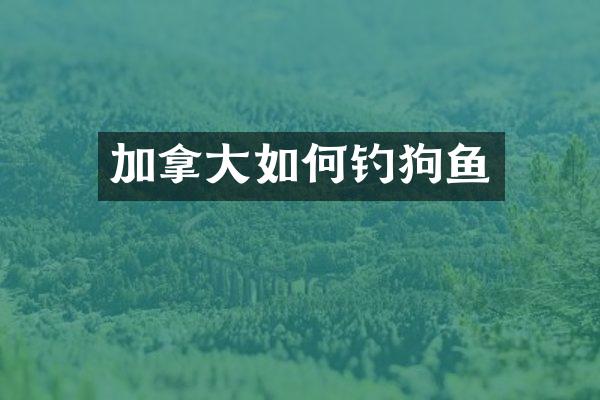 加拿大如何钓狗鱼